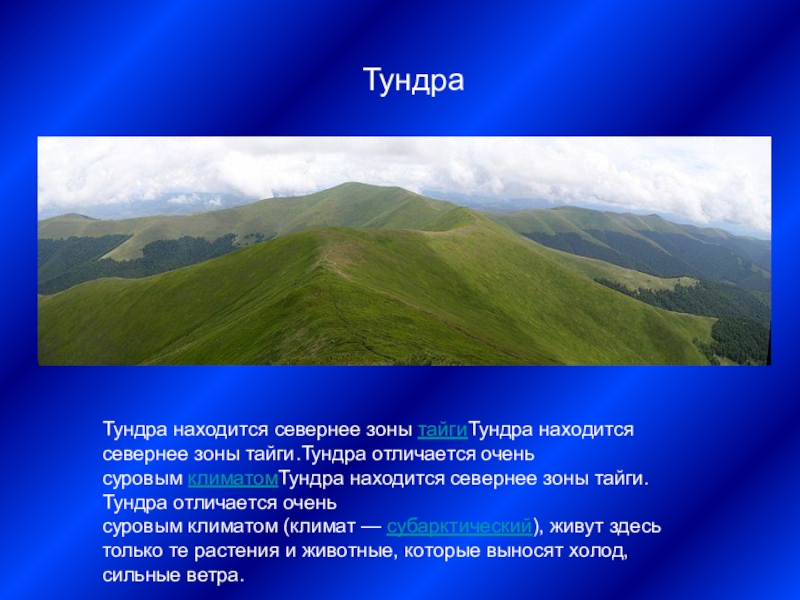 Чем отличается тайга от тундры. Отличие тундры от тайги. Тундра и Тайга разница. Что находится севернее тундры. Тайга и тундра чем отличаются.