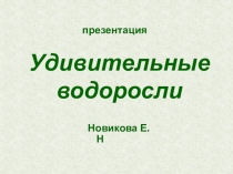 Презентация по биологии Удивительные водоросли