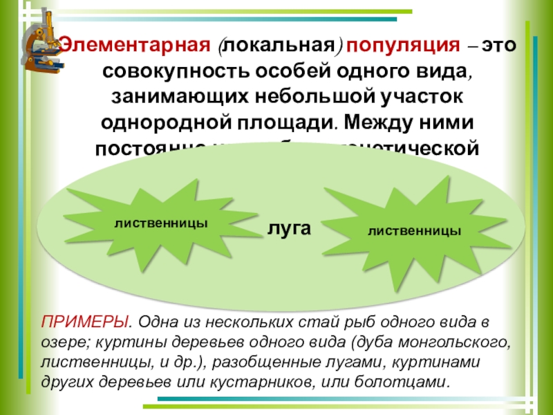 Популяции 9 класс презентация