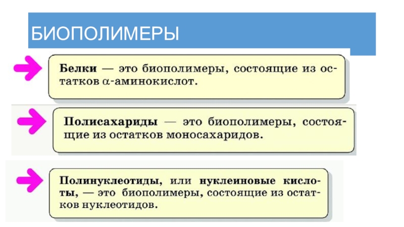 Биополимеры в медицине проект