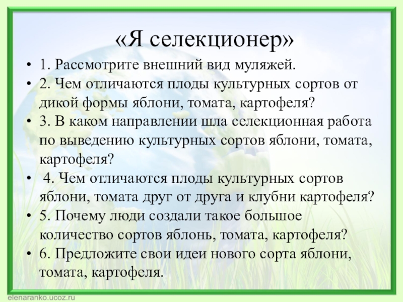 Рассмотрите внешний. Презентация основы селекции работы Вавилова 9 класс. Чем отличаются плоды культурных сортов яблони друг от друга. Чем отличаются плоды культурных сортов от дикой формы.. Вывод плоды отличаются друг от друга по типу.