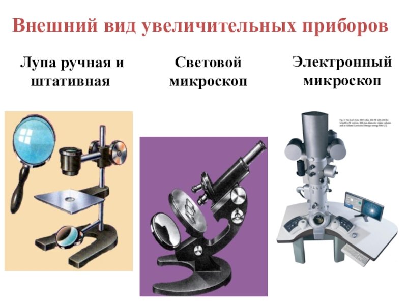 Презентация на тему микроскоп физика