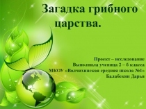 Презентация Загадка грибного царства