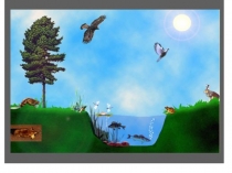 Презентация по биологии на тему Организменная среда жизни (5 класс)