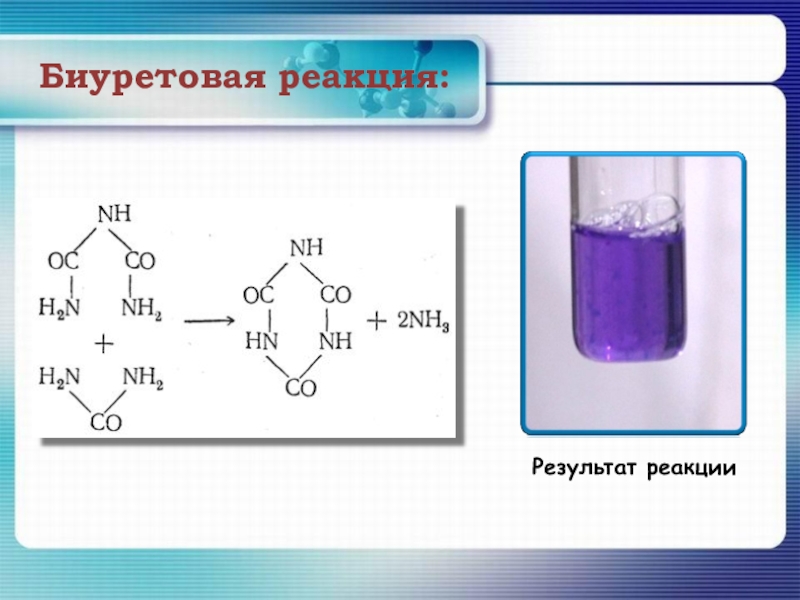 Биуретовая реакция рисунок