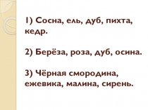 Окружающий мир. Насекомые, птицы, рыбы, звери...