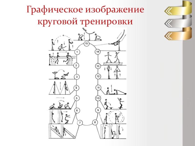 Реферат По Физкультуре Круговая Тренировка