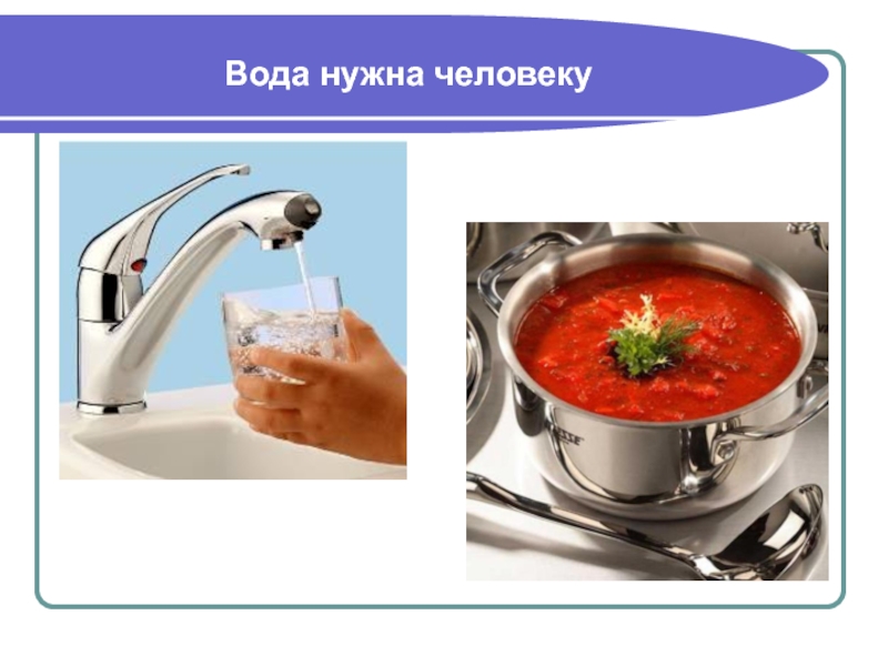 вода и человек. зачем нужна вода животным. какая вода полезнее для питья. какая вода нужна человеку. для чего нужнамвода человеку.