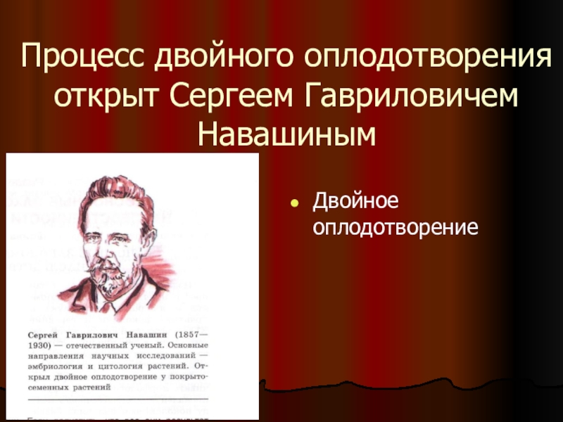 Двойной процесс. Навашин открыл двойное оплодотворение. Сергей Навашин двойное оплодотворение. Двойное оплодотворение открыл русский ученый с.г Навашин. Двойное оплодотворение Сергей Гаврилович.