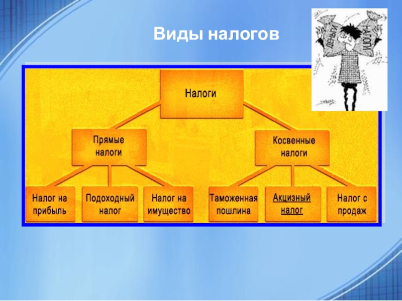 Виды налогов презентация