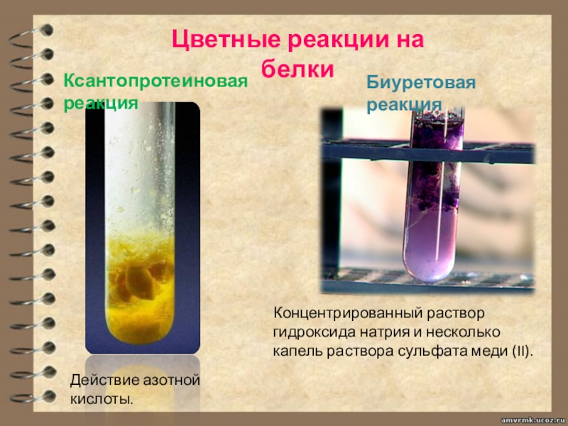 Качественные реакции на белки презентация