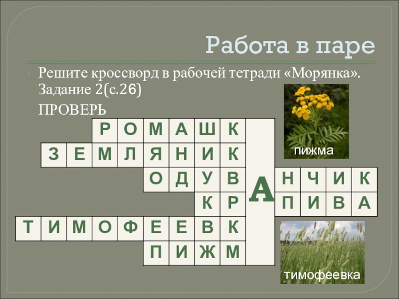 Всякому дню забота своя морянка 2 класс презентация