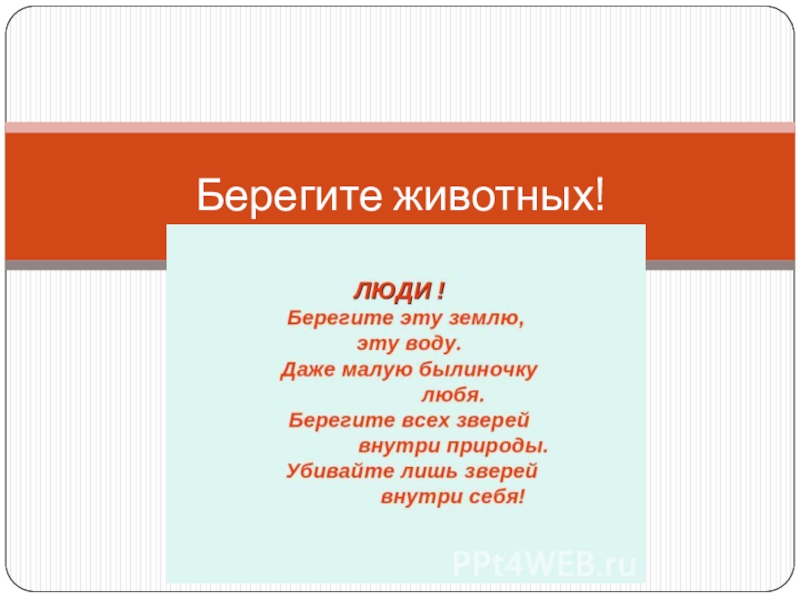 Малышка береги животных. Берегите животных текст. Берегите животных доклад. Берегите животных красной книги. Рассказ береги животных.