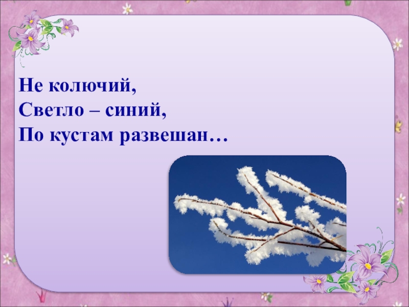 загадка не колючий светло синий по кустам развешан. не колючий светло-синий по кустам. по ветвям развешан иней. не колючий светло-синий по кустам развешан отгадка. бешеная ягода.