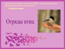 Презентация по биологии Отряды птиц