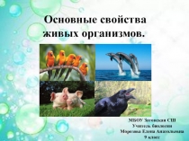 Презентация по биологии Основные свойства живых организмов