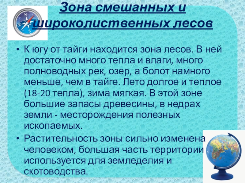 Зона смешанных и широколиственных лесов К югу от тайги находится зона лесов. В ней достаточно много тепла