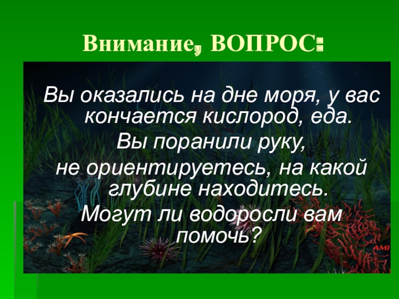 Водоросли 7 класс. Многообразие водорослей 7 класс. Презентация многообразие водорослей 7 класс. Вопросы по водорослям 7 класс. Вы оказались на дне моря у вас кончается кислород еда вы поранили руку.