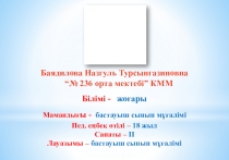 Бастауыш сынып мұғалімін Таныстыру (Визитная карточка)