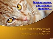 Презентация для внеклассного мероприятия о кошках