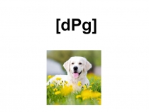 Презентация по английскому языку Учимся читать по транскрипции (1 класс)