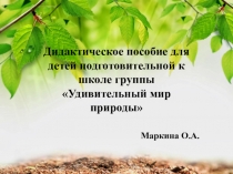 Презентация электронного пособия для подготовительной к школе группы Удивительный мир природы