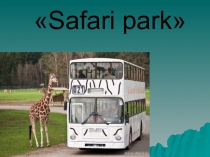 Презентация к конспекту урока Животные Сафари парка 3 класс УМК Милли автор С.А.Азаровав