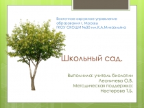Школьный сад. Презентация к уроку-экскурсии по пришкольному участку.