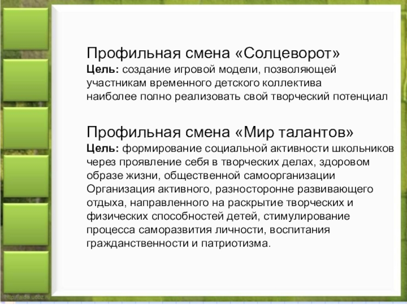 Профильные смены. Профильные смены в лагере презентация. Профильная смена. Цель профильной смены. Виды профильных лагерей смен.