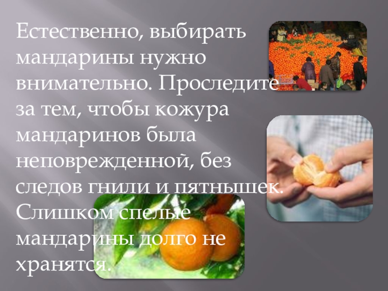 Сколько мандаринов можно съедать в день. Презентация на тему мандарин. Вывод мандарин. Мандарин для презентации. Пословицы про мандарины.