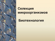 Презентация по биологии на тему Селекция микроорганизмов