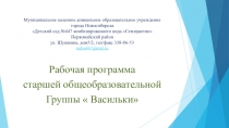Презентация рабочей программы старшей группы Васильки