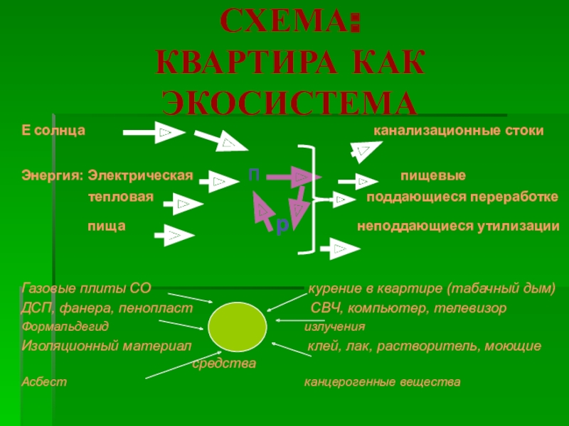 Квартира как экосистема презентация