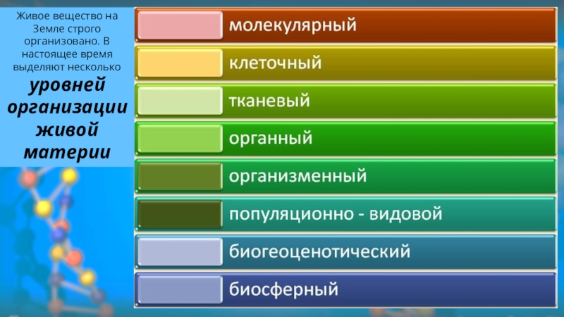 Уровни организации живого биология. Структура живого вещества. Уровни организации живого вещества. Структурная организация биосферы таблица. Биосфера уровень организации живой материи.