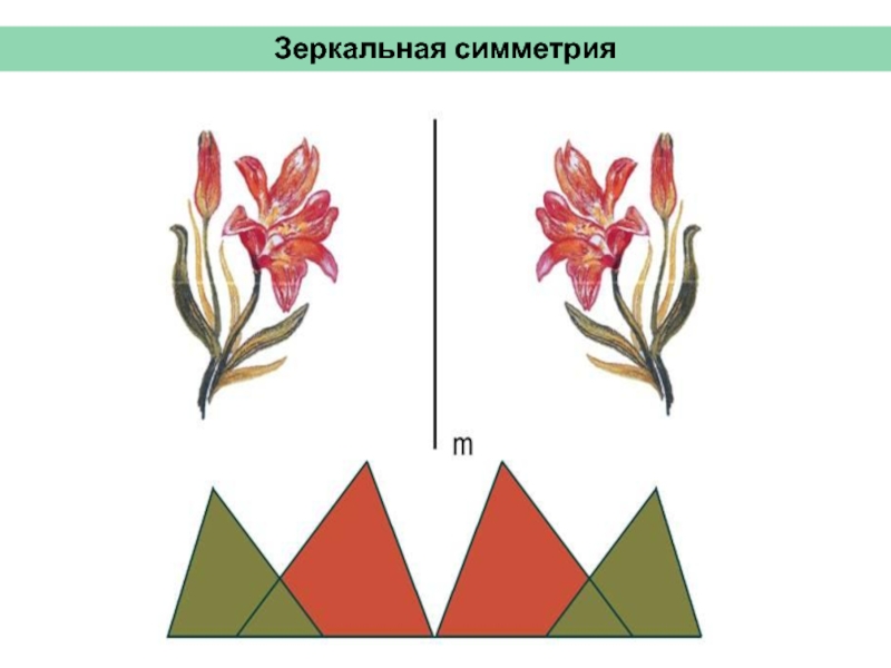 Зеркальная симметрия примеры. Зеркальная симметрия. Примеры зеркальглц симметрии. Пр ер зеркальной симметрии.