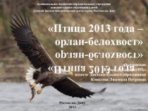 Презентация к открытому занятию Орлан-белохвост