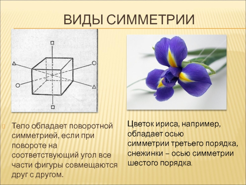 Тело обладает. Симметрия в физике примеры. Оси симметрии в физике. Поворотная симметрия ириса. Симметрия третьего порядка.