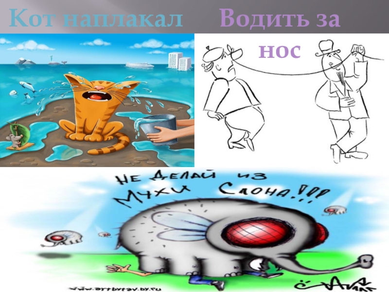 Кот наплакал нарисовать