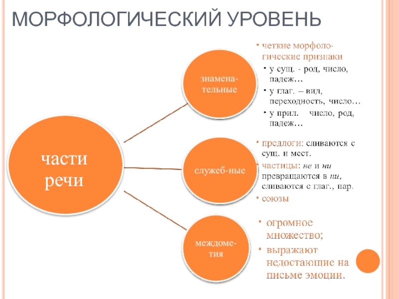 Морфологическая структура текста