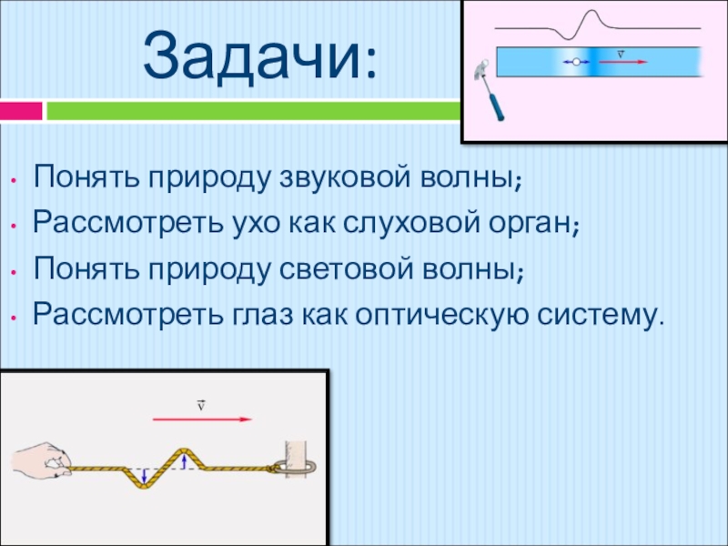 Звуковые волны эхо презентация