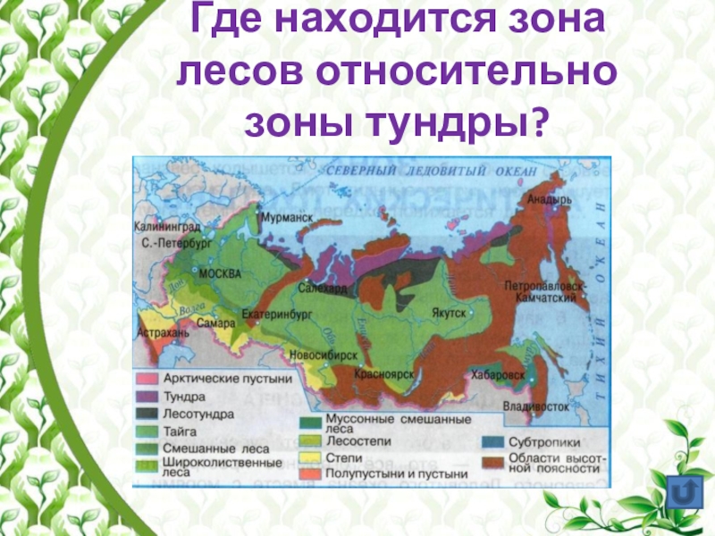 Тундра тайга смешанный лес. Географическое положение Лесной зоны. Где находится зона. Где располагается зона лесов. Где находится Лесная зона.