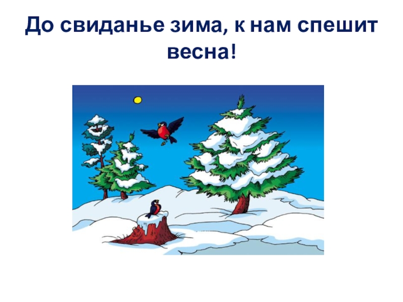 Игра зимние слово. Слово зима рисунок. Экологическая зима. До свидания зима.