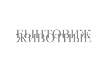 Презентация по окружающему миру Дикие и домашние животные