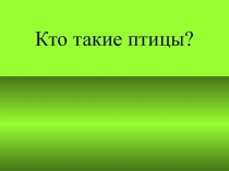 Презентация по окружающему миру Кто такие птицы?