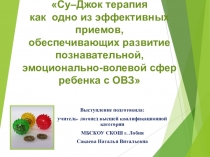 Презентация по логопедии Су–Джок терапия как  одно из эффективных приемов, обеспечивающих развитие познавательной, эмоционально-волевой сфер ребенка с ОВЗ