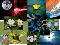 Презентация к интегрированному уроку Всё живое стремится к цвету.