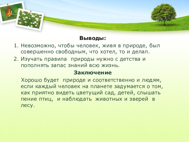 Рассказ о красоте животных родного края. Короткий рассказ о красоте животных родного края. Красота животных родного края выводы. Рассказ о красоте животных родного края словами ребенка. Маленький текст о красоте животных нашего родного края.