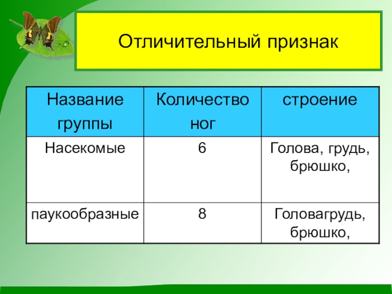 Отличительный вид это. Презентация по окружающему миру Шестиногие и восьминогие 2 класс. Шестиногие и восьминогие 2 класс окружающий мир перспектива. Шестиногие и восьминогие 2 класс перспектива презентация. Шестиногие и восьминогие.