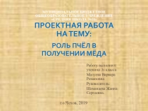 Исследовательская работа на тему: Роль пчёл в получении мёда.