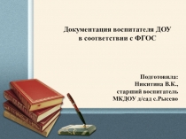 Презентация Документация воспитателя дошкольной организации